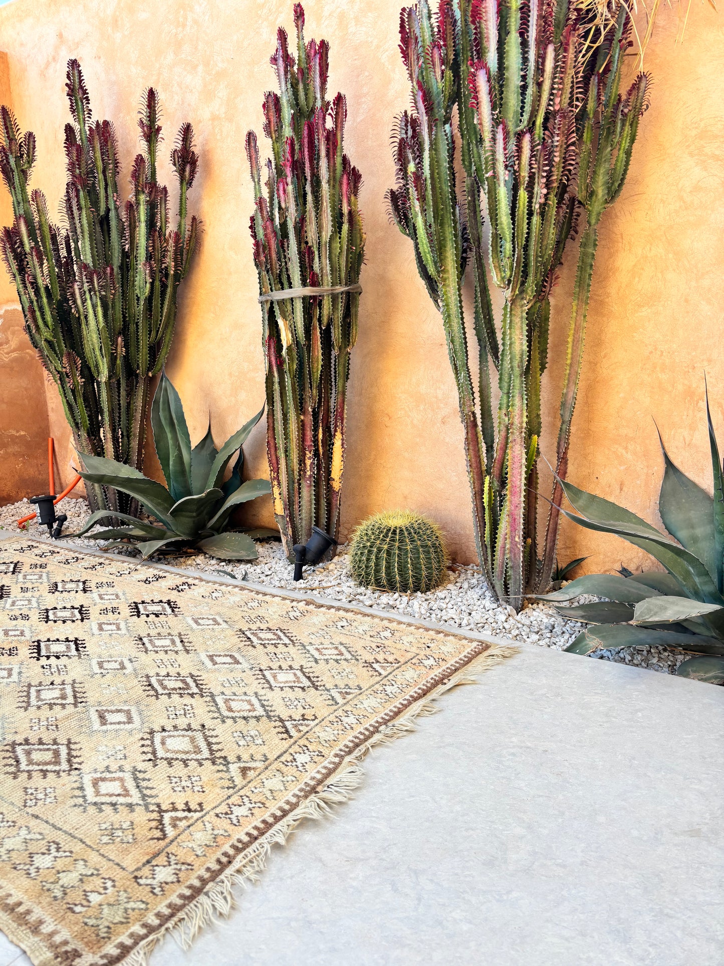 Boujaad Moroccan Rug