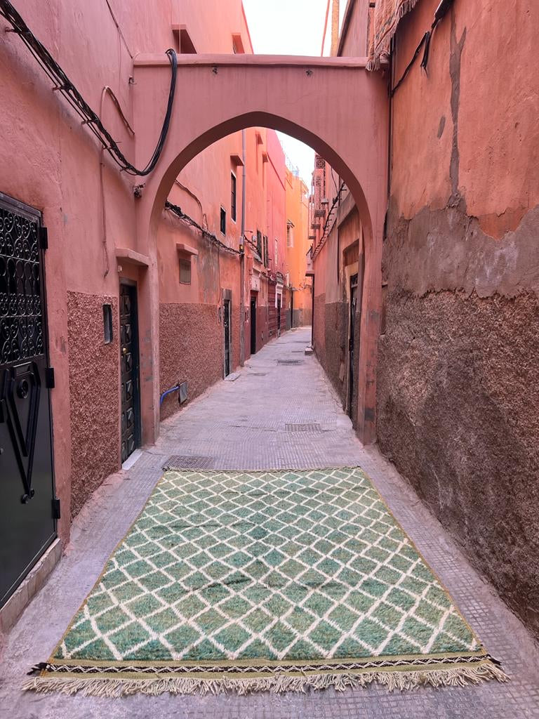 Moroccan Rug