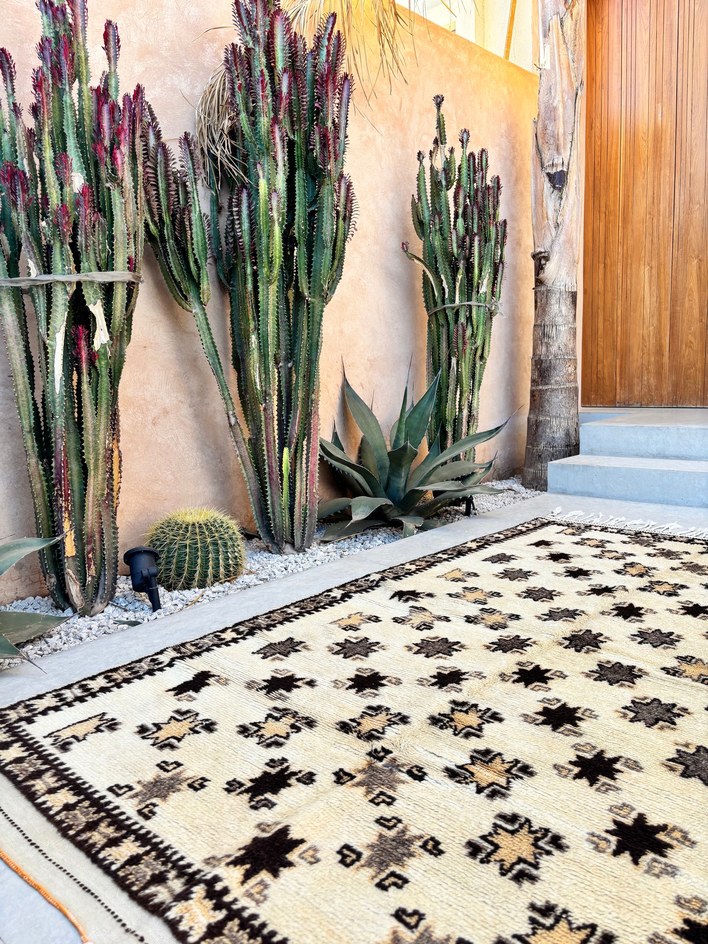 Taznakht Moroccan Rug