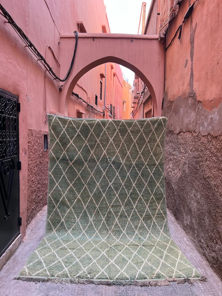 Moroccan Rug