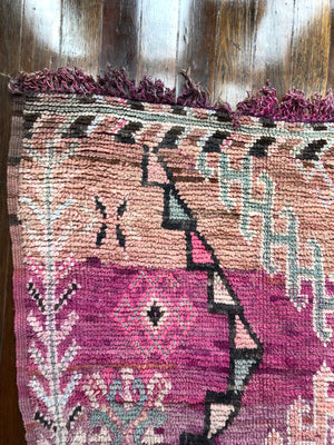 Purple Princess Boujaad